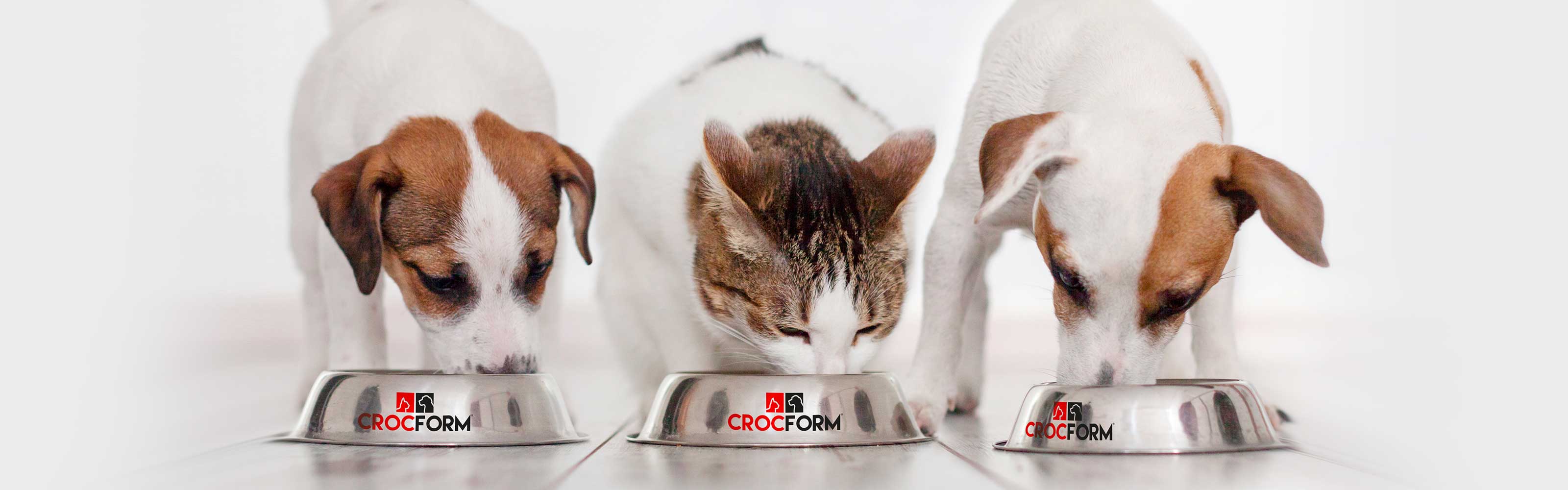 Croc Form croquette chien chat Croc Form croquette chien chat
